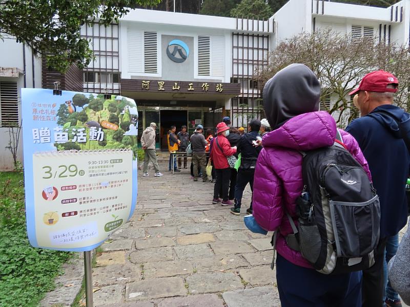 最後一場贈苗活動於阿里山辦理,結合櫻花季人潮熱絡。
