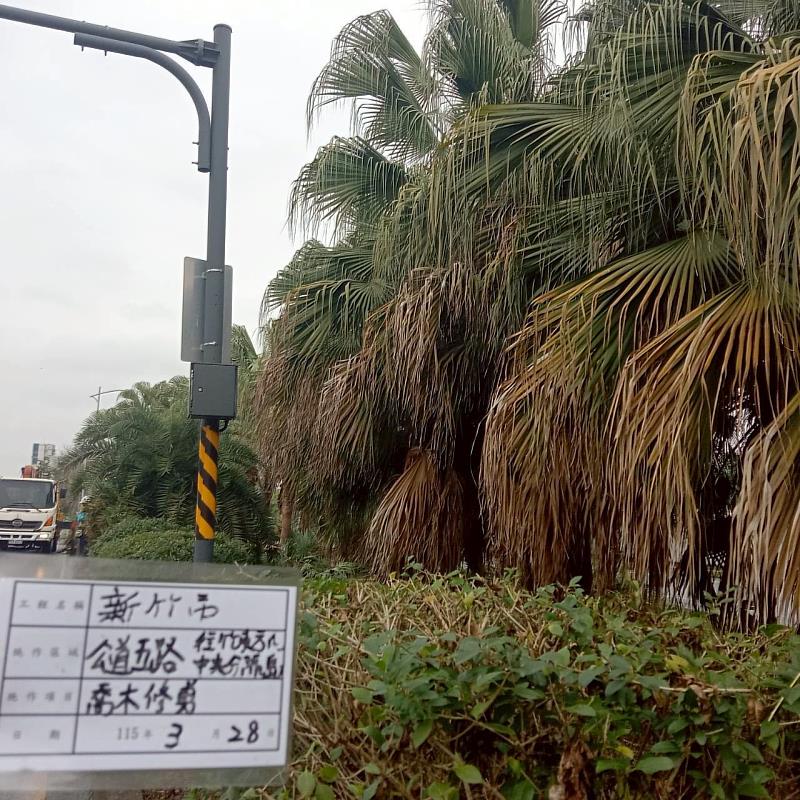 公道五路喬木修剪前後。