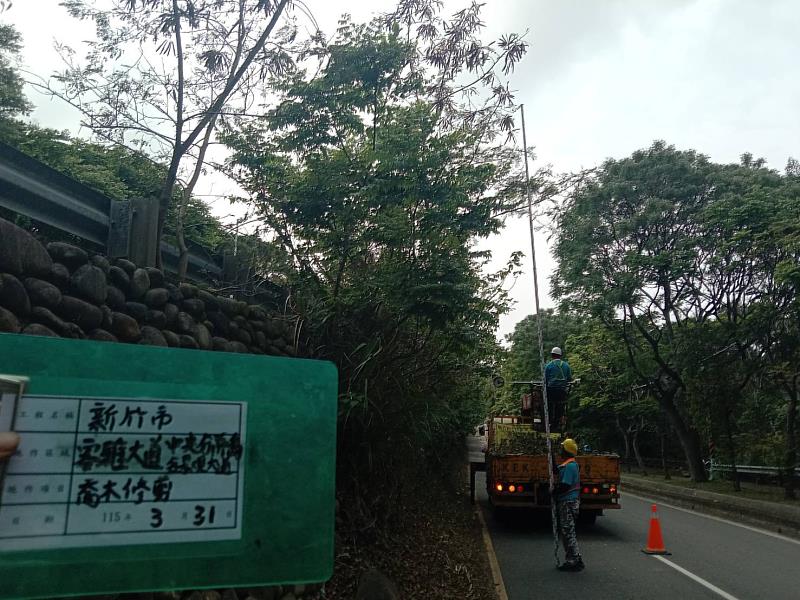 客雅大道喬木修剪前後。