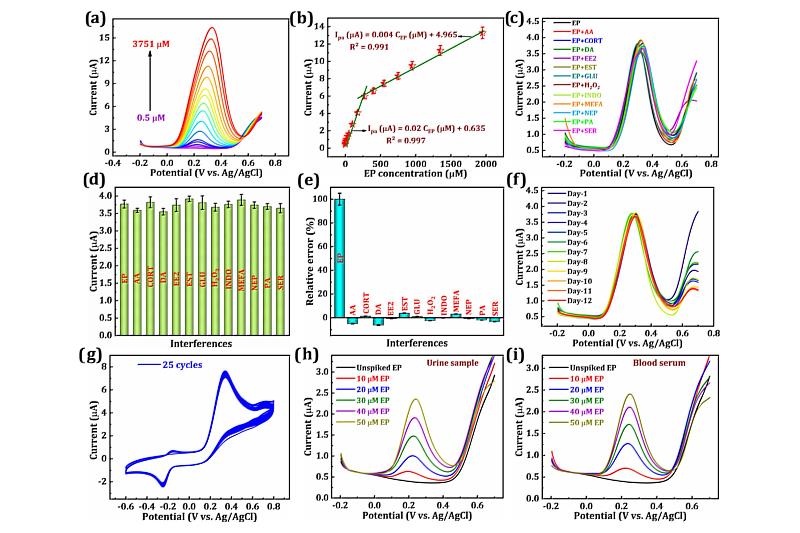 這項研究之特色在於整合結構設計、綠色合成與電化學感測性能3個面向。照片由雙邊團隊共同提供