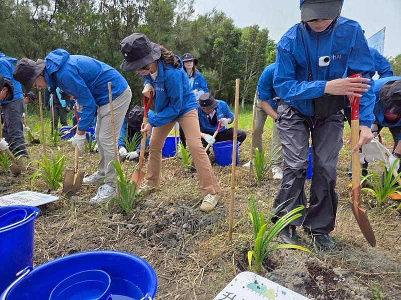 萬海航運員工種下營造防風林的林投苗木