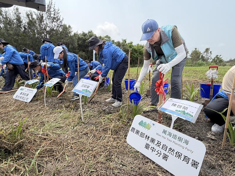 林業保育署汪昭華處長及林業保育署臺中分署陳啓榮副分署長與萬海航運共同植下林投樹苗