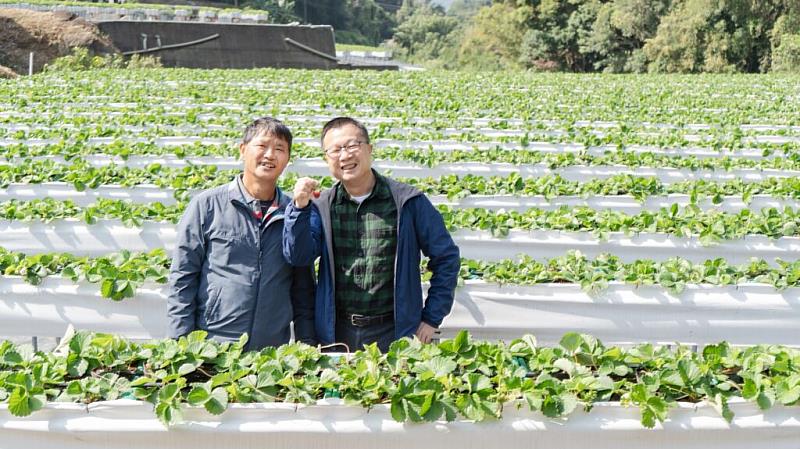 馬修嚴選長年與台灣在地友善種植的農友合作，推廣友善耕作，以共好精神讓台灣的各地美味被消費者看見。（圖／品牌提供）