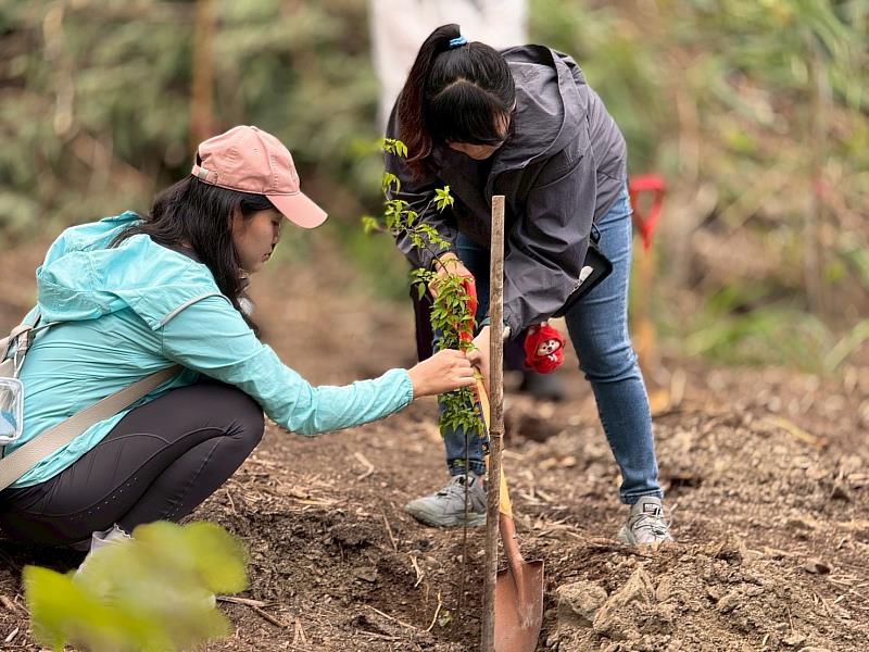 企業員工響應ESG，參與造林植樹活動。