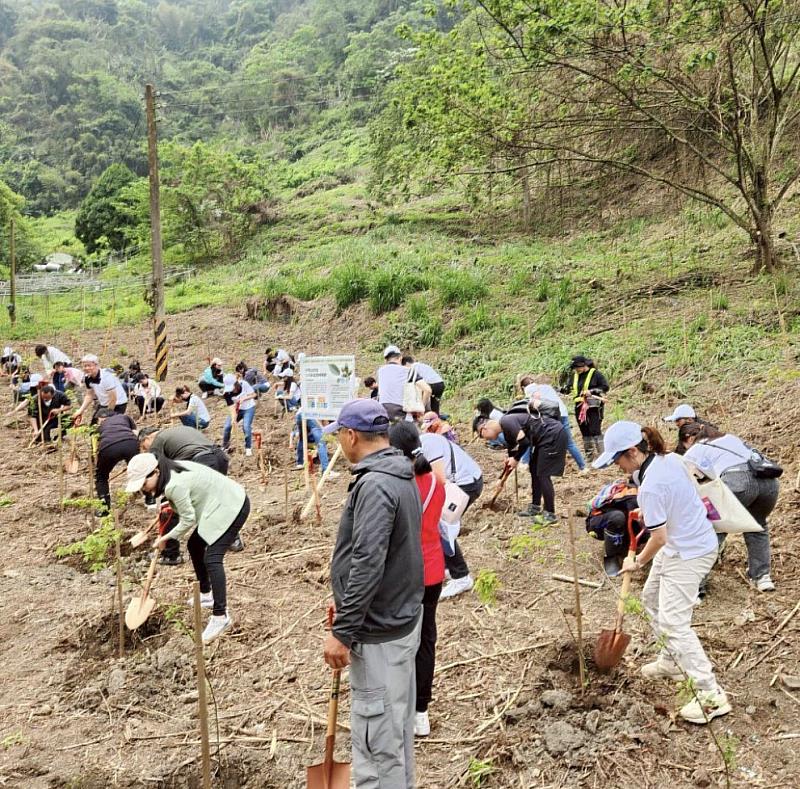 企業同仁參與植樹體驗，於2公頃土地種植臺灣櫸及臺灣肖楠共4,000株原生樹種。