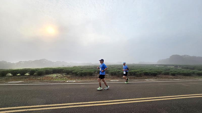 「行行尞尞走相逐」跑者感受客庄茶園文化地景。
