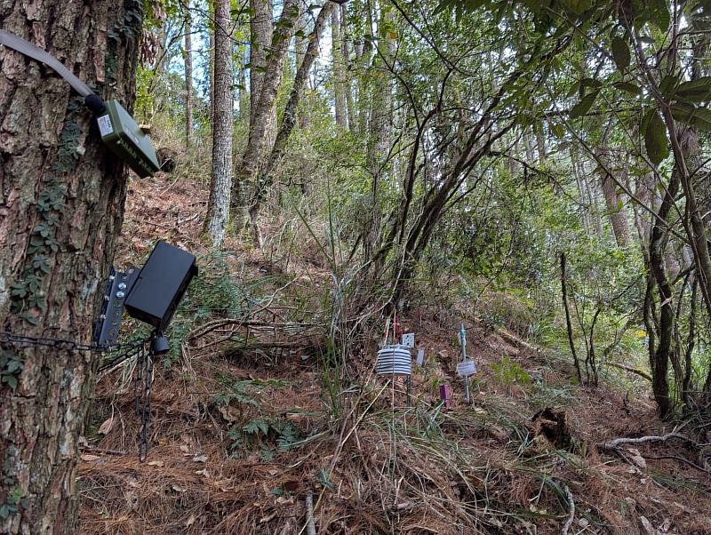 如與紅外線自動相機搭配可以蒐集到更完整的野生動物資訊