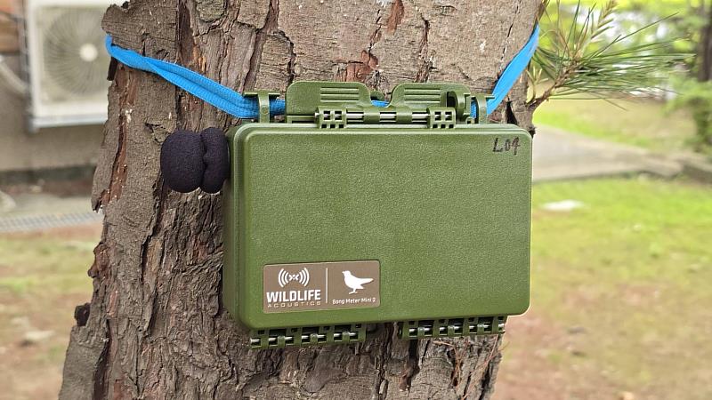 僅需將錄音機以棉繩或扁帶吊掛於樣區的樹幹上，即可蒐集該區域的聲景資訊。