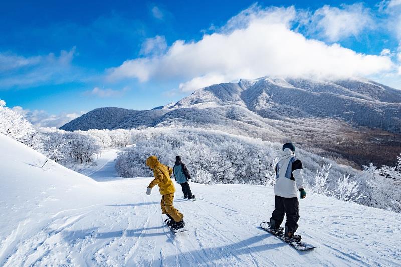 北海道TOMAMU以優質雪況與從初學者到高級滑雪者都能享受的29條雪道著稱，是北海道指標性粉雪聖地。