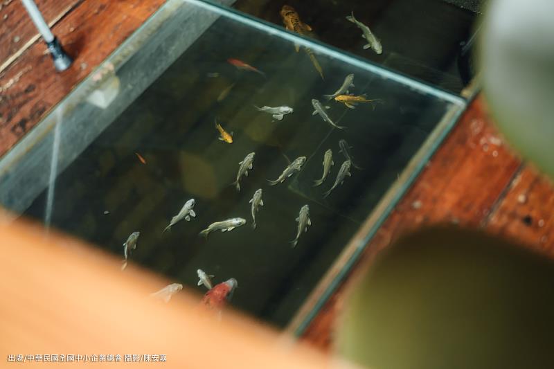 建築座落於魚池上方可欣賞魚群悠游。