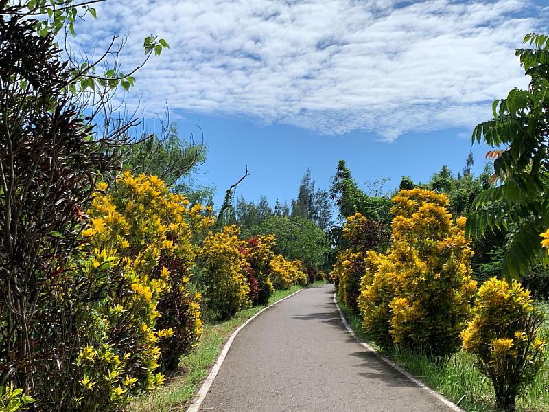 台東森林公園自5月1日起取消入園收費，提升民眾使用率。（照片台東縣政府提供）