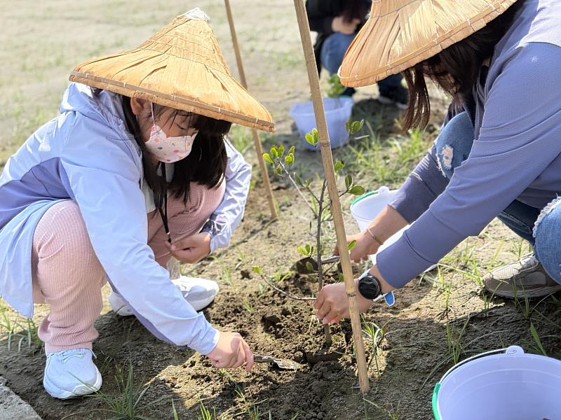 七股鹽山推廣濱海生態教育，透過親子共同植下欖李樹苗，引導認識耐鹽植物特性。