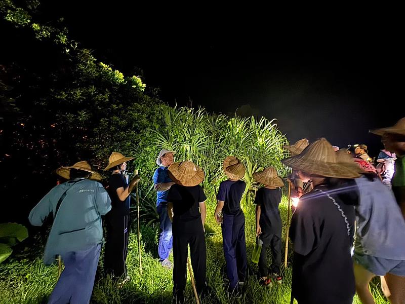 夜間森林探索趣