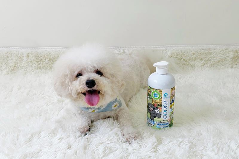 毛孩衣物這樣洗！臭味滾ECOCERT洗衣精 洗出人寵共好