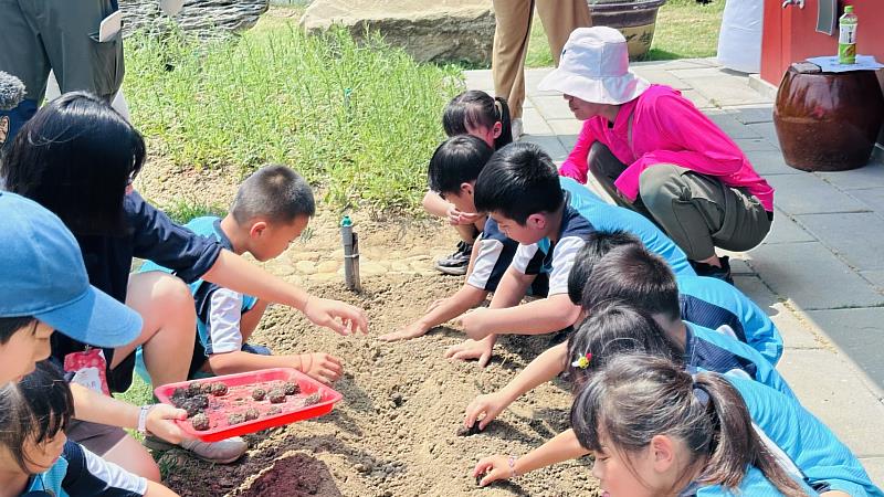 小朋友播下受脅植物種子球，象徵播下希望。（新竹分署提供）