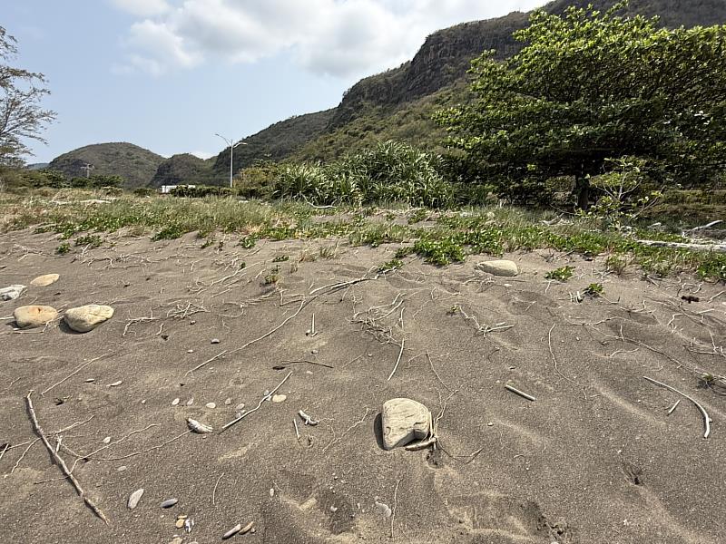 海岸保安林具防風防潮功能。