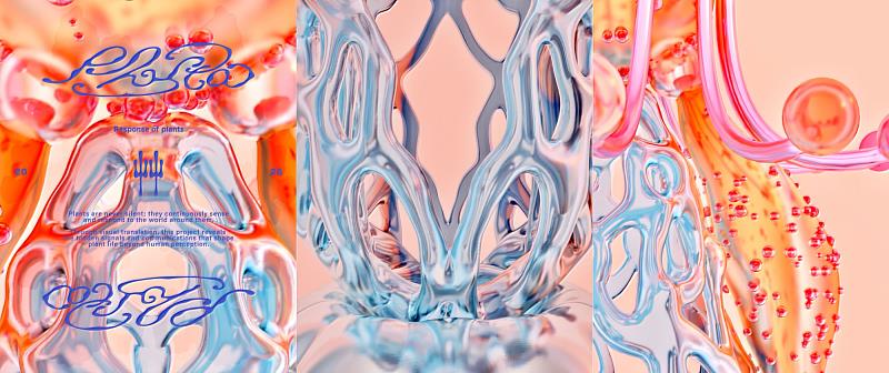 世新圖傳系學生作品《艸 Phyta》雙料入圍金點新秀贊助特別獎與青春設計節創意設計競賽。（圖片來源：@njrshugc世新圖傳32屆畢業展）