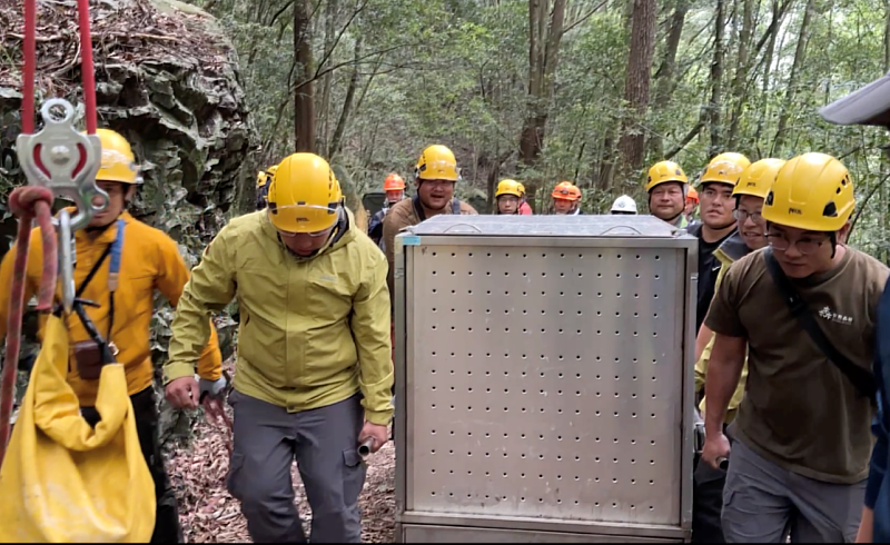 林業保育署臺中分署野放團隊將黑熊搬運至野放地點，待獸醫師確認黑熊精神及活動力穩定後即可進行野放。