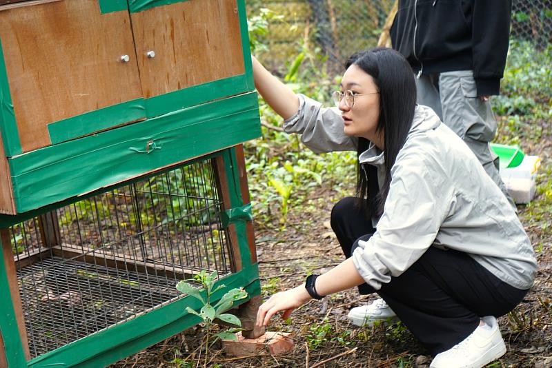學生準備雞老師的新家。