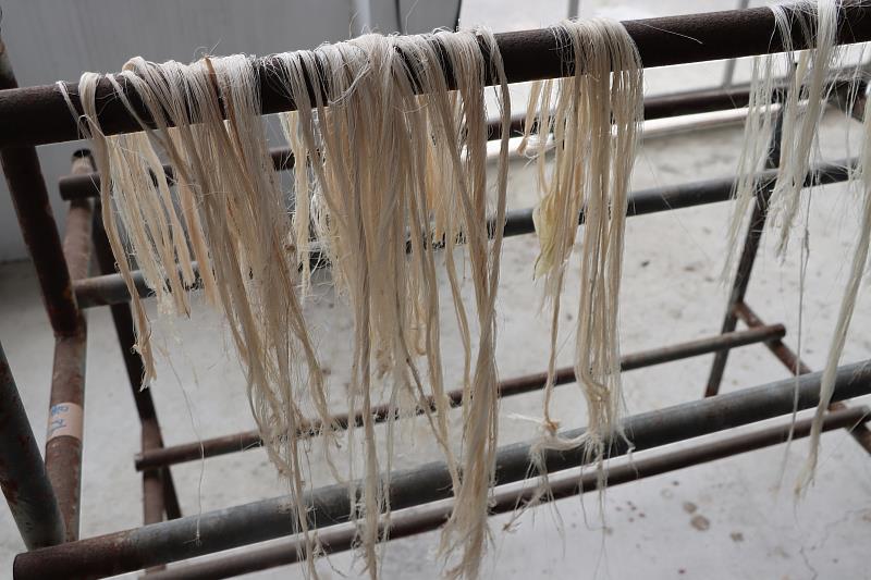 香蕉假莖取出之纖維。