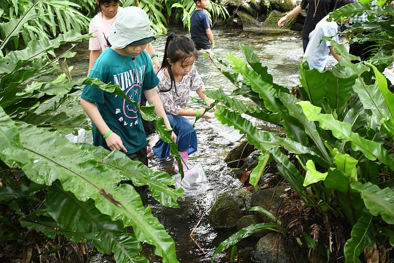 夏日森友集合 池南暑期營隊即日起熱烈報名