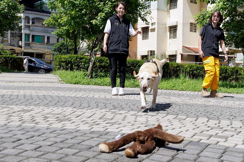 市長高虹安與搜救犬互動。