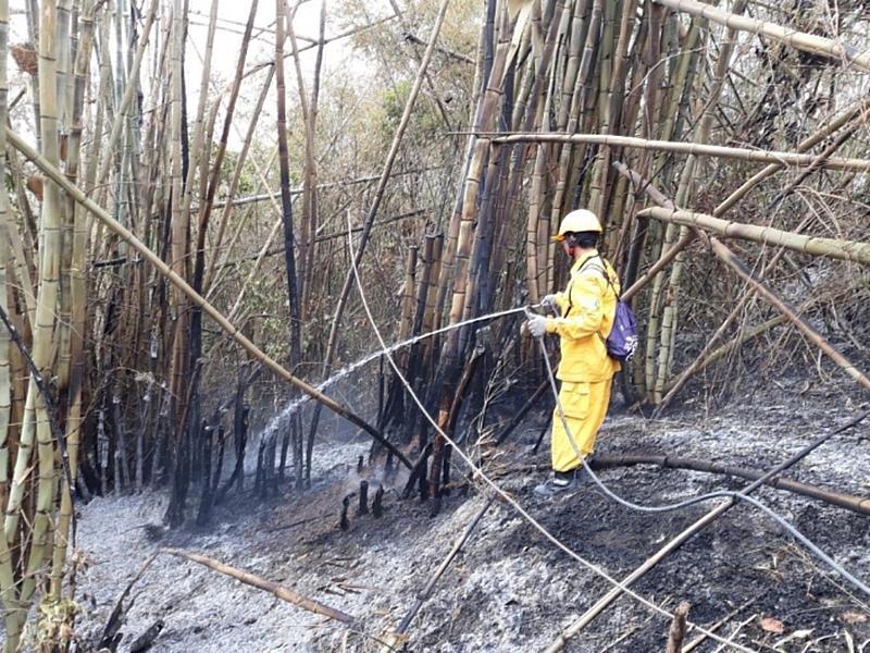 技術士楊國榮多次參與森林火災搶救，成功阻絕火勢。