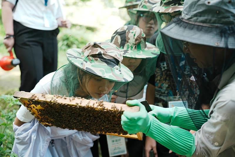 學生透過戶外實作與觀察，從自然環境中汲取靈感，培養對永續議題的理解與創新思考能力。