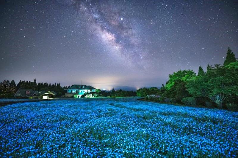 久住花公園位於阿蘇九重國立公園標高850m處，是西日本最大級的療癒花園，占地約22公頃。