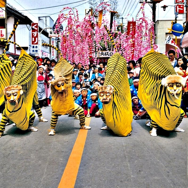 日本宮城縣加美町「初午祭、 火伏虎舞」