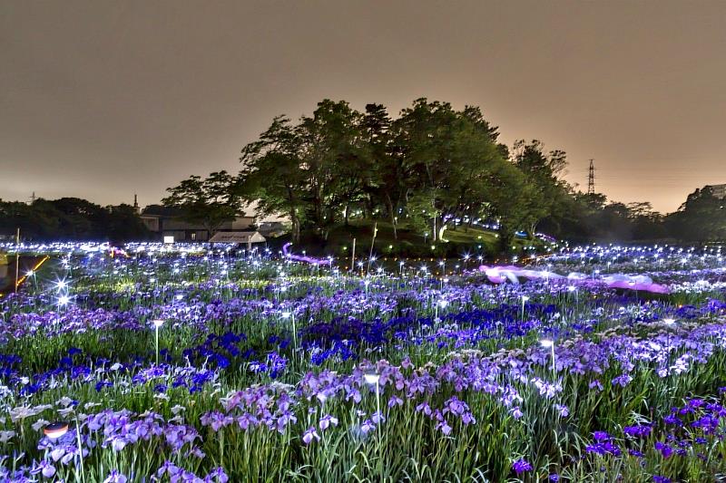 夜間會點燈特別浪漫。