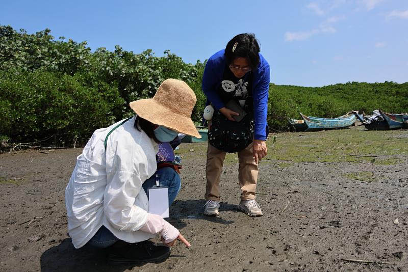 於挖子尾濱海場域進行實地探究，教師透過觀察黑色沉積土壤與濕地環境，啟發對海洋藍碳議題的思考。