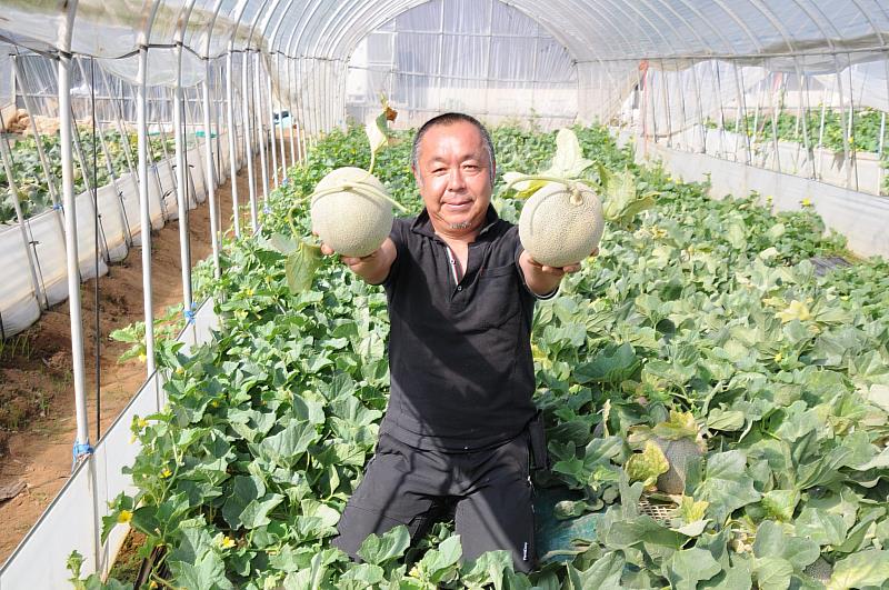 5月的茨城 一定要來嚐嚐哈密瓜銷魂滋味！