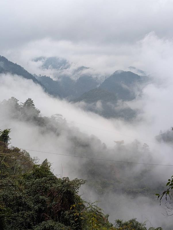 唐麻丹山步道延途風景。