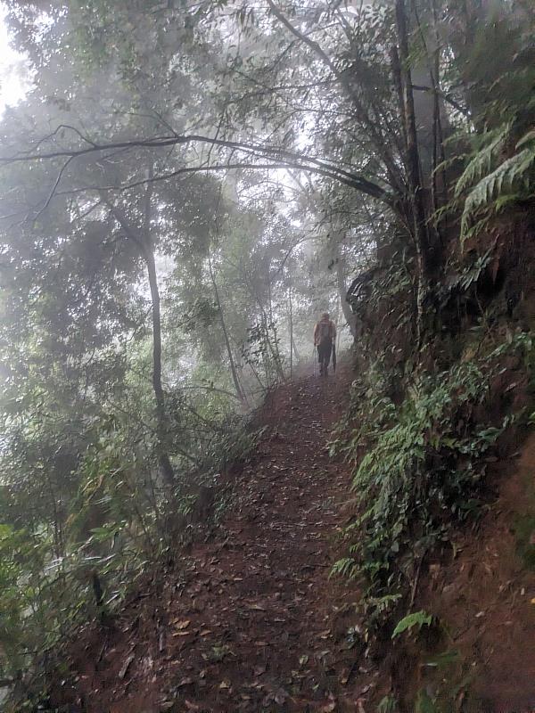 唐麻丹山步道延途風景。