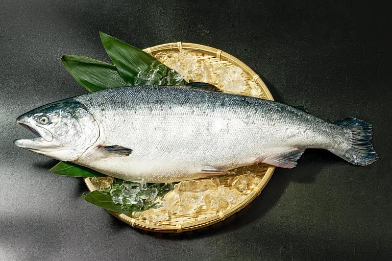 海之饋贈 旬味盛宴：日本宮城縣「南三陸鮭魚節2026」