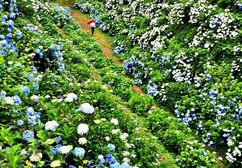 黑羽是松尾芭蕉在奥之細道旅行時留宿的地區，在「芭蕉公園」 內留有許多芭蕉的句碑。