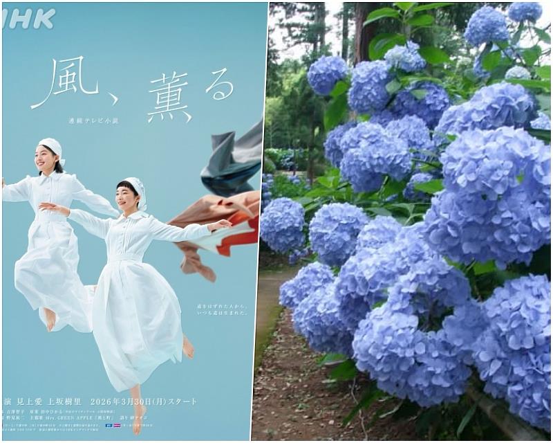 黑羽也是現在熱映的晨間劇《風，帶有香氣》主角明智的南丁格爾大關和的出生地。