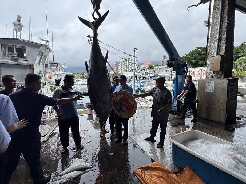 臺東黑鮪魚首尾彩頭 「盛泰豐號」漁船勇奪 縣府頒發20萬元獎勵