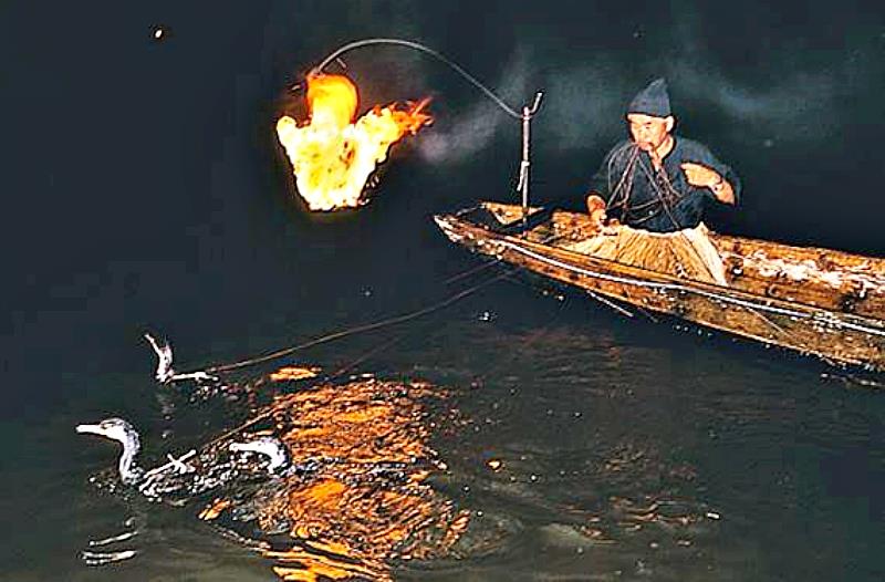 日田的「鵜飼」據說已有400年歷史，通常在每年5月20日至10月31日舉行。