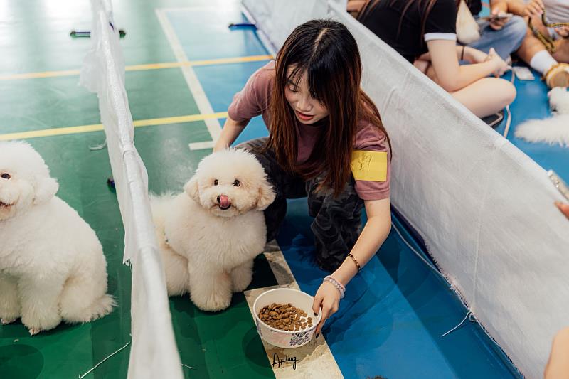 吃得快挑戰賽。