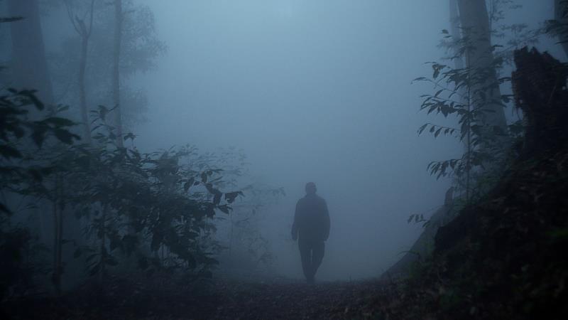 複層之森－布農族耆老陳良輝先生於藤枝山森林霧中之背影。