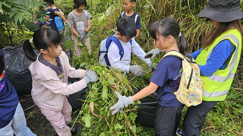 永安國小師生、在地居民參與移除工作。