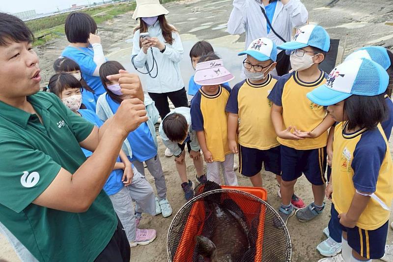 南大學生帶領學童近距離觀察龍膽石斑，透過實地教學認識魚類外觀特徵與養殖環境。