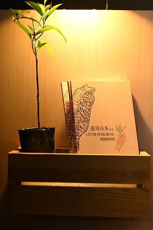 現場特別加贈阿里山十大功勞、臺灣山茶、絞股藍、天仙果等林下經濟品項苗木。