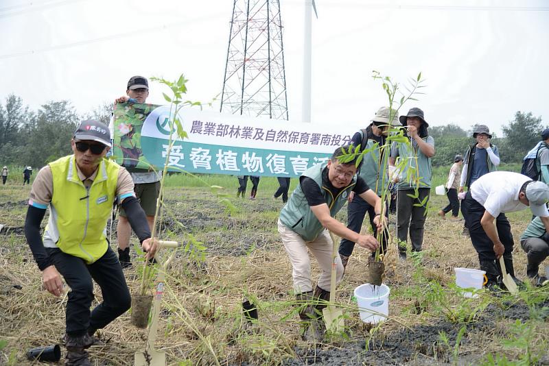 林業署南投分署於115年5月16日上午在雲林縣麥寮鄉第1805號區外保安林舉辦受脅植物－細葉零餘子復育栽植活動。