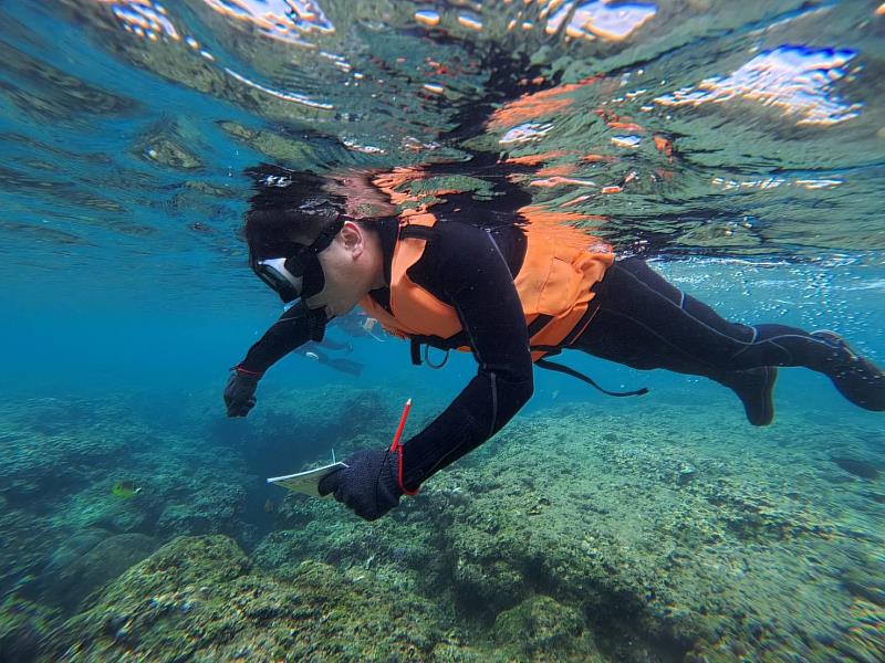 高科大獲海洋保育署補助舉辦「第2屆亞洲CoralWatch珊瑚礁保育親善大使培訓工作坊」，國內外學員於恆春半島海域進行珊瑚健康監測實作。