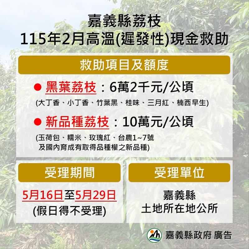 嘉義縣公告辦理荔枝現金救助5月29日前受理申請