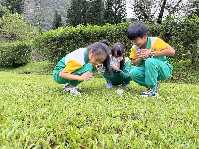 池南草地觀察昆蟲。