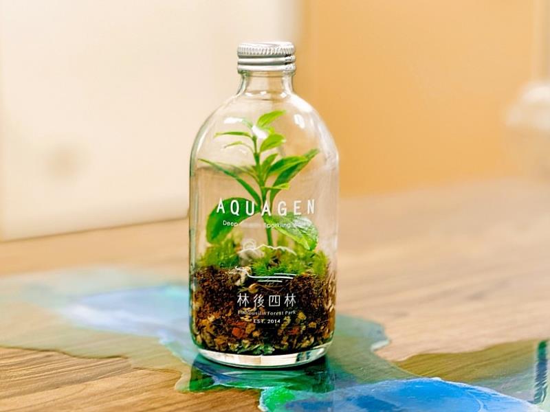 玻璃植物生態瓶成品示意圖。